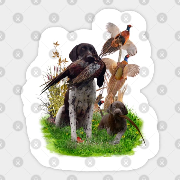 German Shorthaired Pointer (GSP) Sticker by German Wirehaired Pointer 